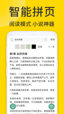 viax浏览器免费版app